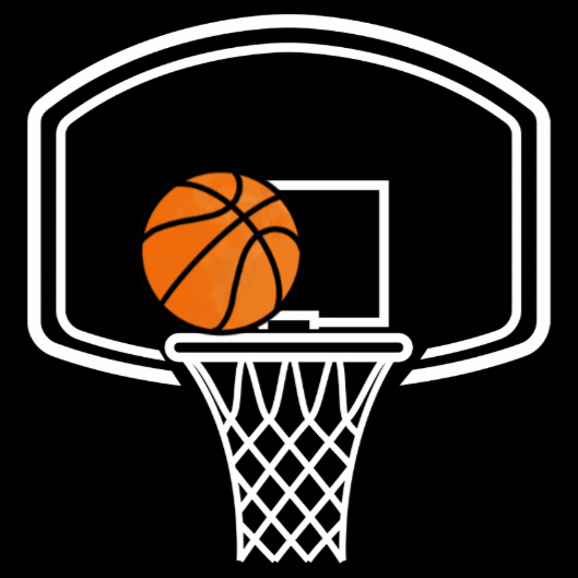 Basketball corporate funday flying fox